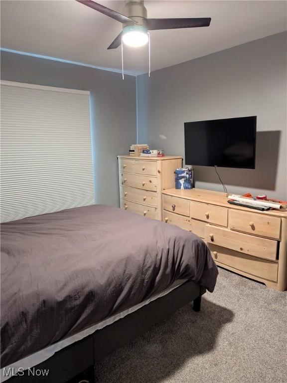 4106 Colony Rd, South Euclid, OH 44121 - bedroom with a ceiling fan and carpet floors