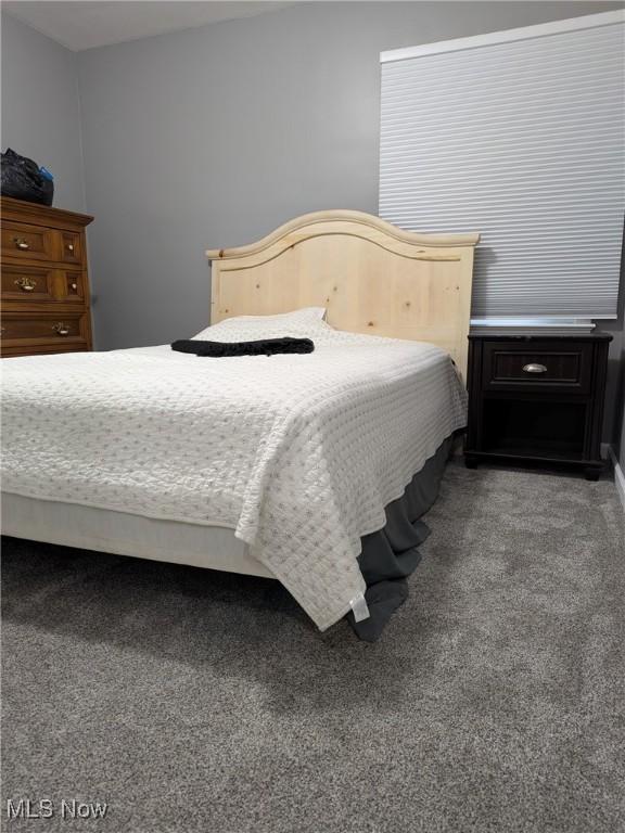 4106 Colony Rd, South Euclid, OH 44121 - view of carpeted bedroom