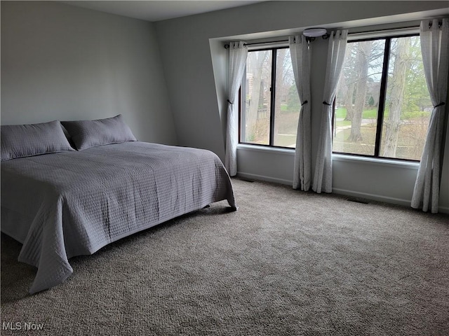 1110 By The Shores Dr, Huron, OH 44839 - carpeted bedroom with baseboards