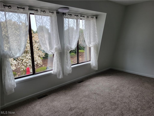 1110 By The Shores Dr, Huron, OH 44839 - empty room with carpet, plenty of natural light, and baseboards
