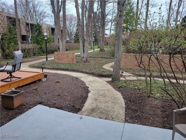 1110 By The Shores Dr, Huron, OH 44839 - view of yard