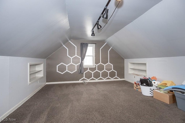 7428 Ira Ave, Brooklyn, OH 44144 - additional living space featuring built in shelves, carpet, and lofted ceiling