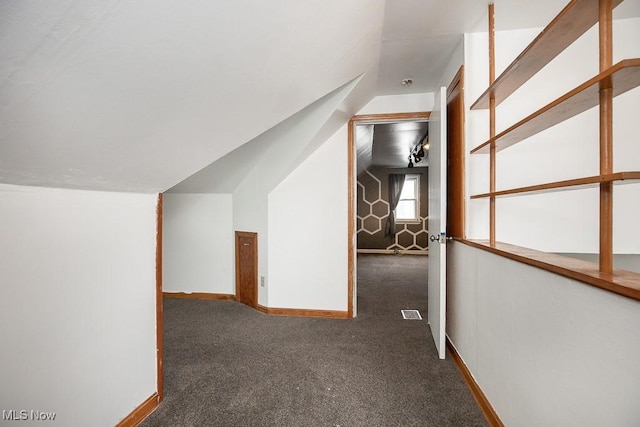 7428 Ira Ave, Brooklyn, OH 44144 - additional living space featuring vaulted ceiling and carpet floors