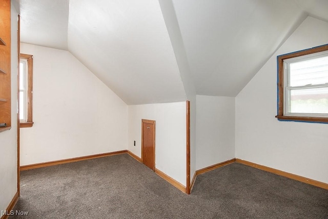 7428 Ira Ave, Brooklyn, OH 44144 - bonus room featuring carpet floors and lofted ceiling