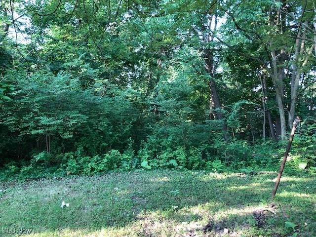 11624 Miles Ave, Cleveland, OH 44105 - photo 13