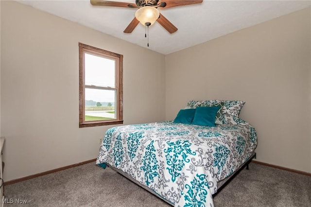 5081 Middle Ridge Rd, Perry, OH 44081 - carpeted bedroom featuring baseboards and a ceiling fan