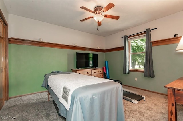 5081 Middle Ridge Rd, Perry, OH 44081 - carpeted bedroom with baseboards and ceiling fan