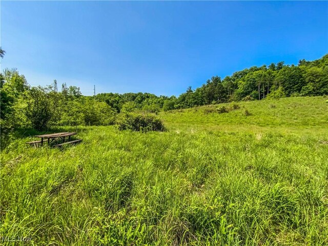 0 Township Rd Unit 472, Amsterdam, OH 43903
