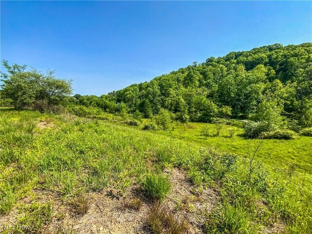 0 Township Rd Unit 472, Amsterdam, OH 43903