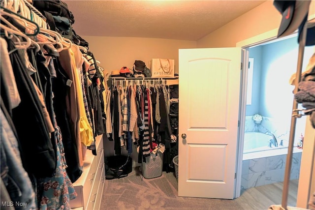 8224 Lilly Ln, Concord, OH 44077 - view of walk in closet