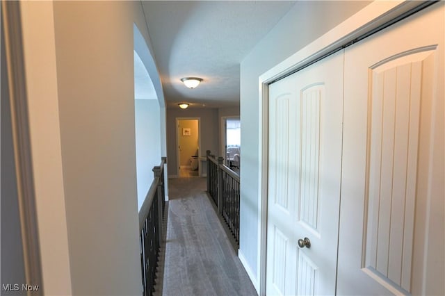 8224 Lilly Ln, Concord, OH 44077 - corridor with carpet flooring