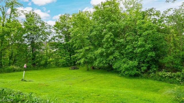 16790 Main Market Rd, West Farmington, OH 44491 - photo 30