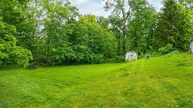 16790 Main Market Rd, West Farmington, OH 44491 - photo 31