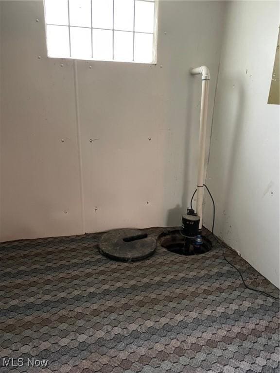 772 Shoshone Ave, Akron, OH 44305 - detailed view of carpet