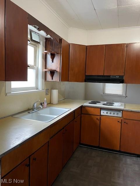 772 Shoshone Ave, Akron, OH 44305 - kitchen featuring under cabinet range hood, light countertops, white electric cooktop, ornamental molding, and open shelves