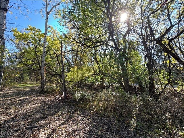 12056 Old State Rd, Chardon, OH 44024 - photo 4