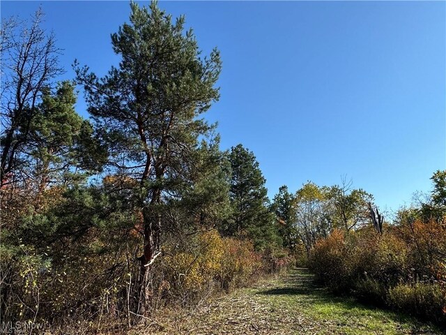 12056 Old State Rd, Chardon, OH 44024 - photo 7