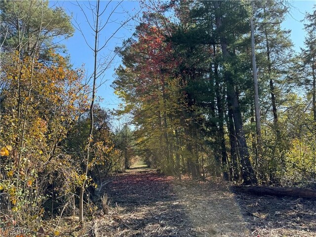 12056 Old State Rd, Chardon, OH 44024 - photo 9