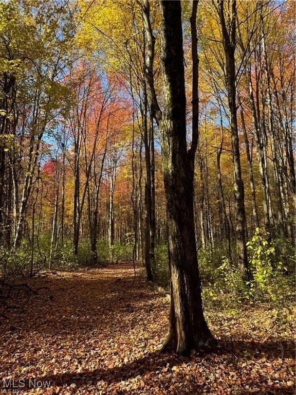 12056 Old State Rd, Chardon, OH 44024 - photo 13