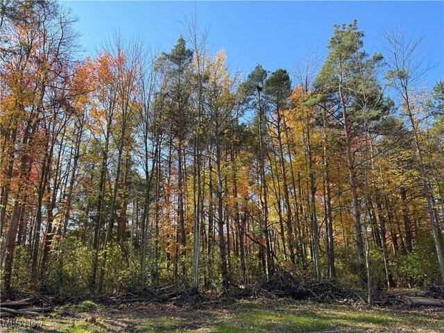 12056 Old State Rd, Chardon, OH 44024 - photo 17