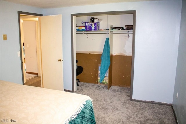 1553 Quail Hollow Dr, Cambridge, OH 43725 - bedroom with carpet flooring and a closet