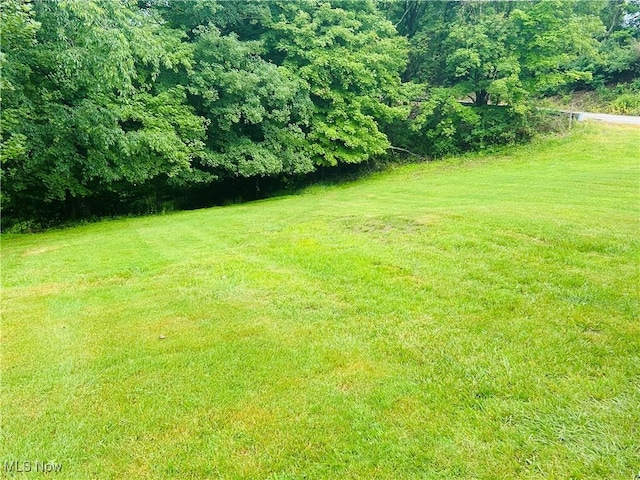 2815 Race Track Rd, New Cumberland, WV 26047 - view of grassy yard