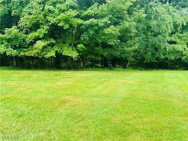 2815 Race Track Rd, New Cumberland, WV 26047 - view of green lawn