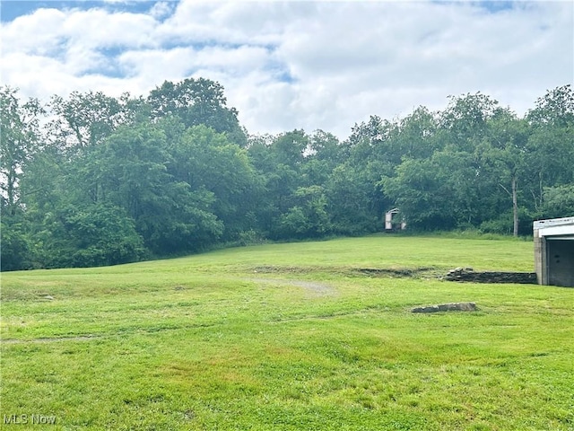2815 Race Track Rd, New Cumberland, WV 26047 - view of grassy yard