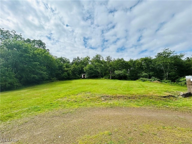 2815 Race Track Rd, New Cumberland, WV 26047 - view of grassy yard with a wooded view