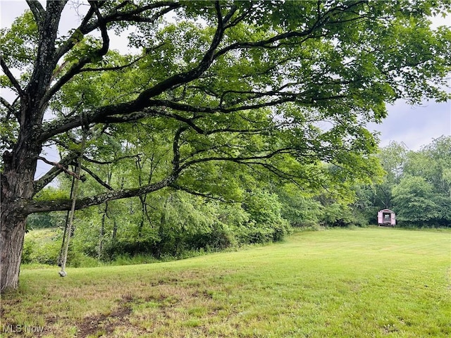 2815 Race Track Rd, New Cumberland, WV 26047 - view of grassy yard with a view of trees