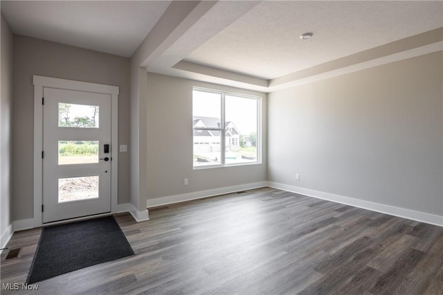 3730 Overlook Ct, Akron, OH 44333 - foyer entrance featuring healthy amount of natural light, dark wood-style flooring, and a raised ceiling