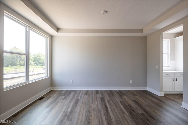 3730 Overlook Ct, Akron, OH 44333 - empty room featuring dark wood-type flooring, plenty of natural light, and a raised ceiling