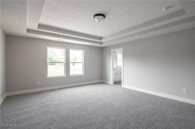 3730 Overlook Ct, Akron, OH 44333 - spare room with a tray ceiling, a smoke detector, and carpet floors