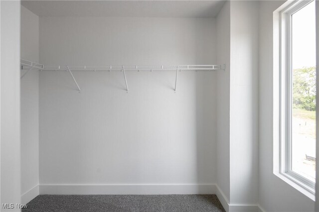 3730 Overlook Ct, Akron, OH 44333 - view of walk in closet