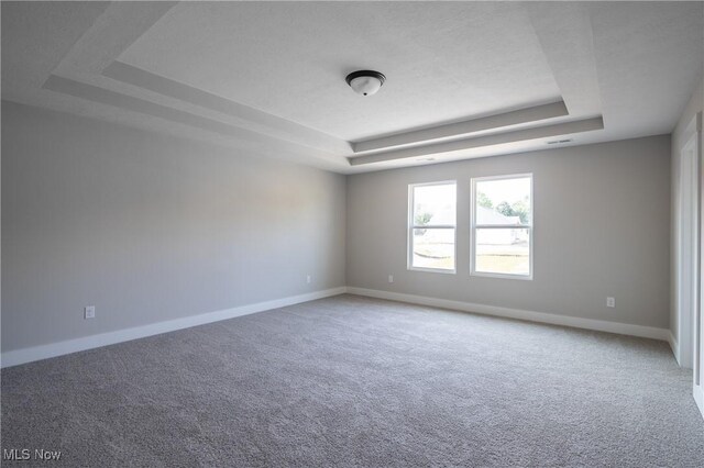 3730 Overlook Ct, Akron, OH 44333 - spare room with a raised ceiling and carpet floors