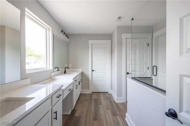 3730 Overlook Ct, Akron, OH 44333 - full bath featuring wood finished floors, double vanity, and a shower with shower door
