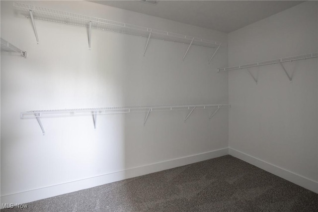 3730 Overlook Ct, Akron, OH 44333 - view of spacious closet