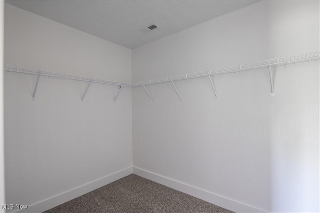 3730 Overlook Ct, Akron, OH 44333 - walk in closet with carpet floors