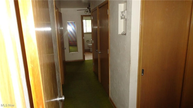 521 Georgia Ave, Chester, WV 26034 - hall with carpet flooring