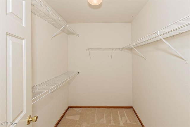 3840 Dartford Ln, Medina, OH 44256 - spacious closet with light carpet