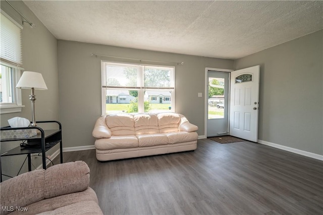 117 N Navarre Ave, Youngstown, OH 44515 - living room featuring dark wood-style floors, healthy amount of natural light, a textured ceiling, and baseboards