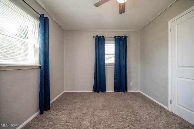 117 N Navarre Ave, Youngstown, OH 44515 - unfurnished room with a ceiling fan, carpet flooring, and baseboards