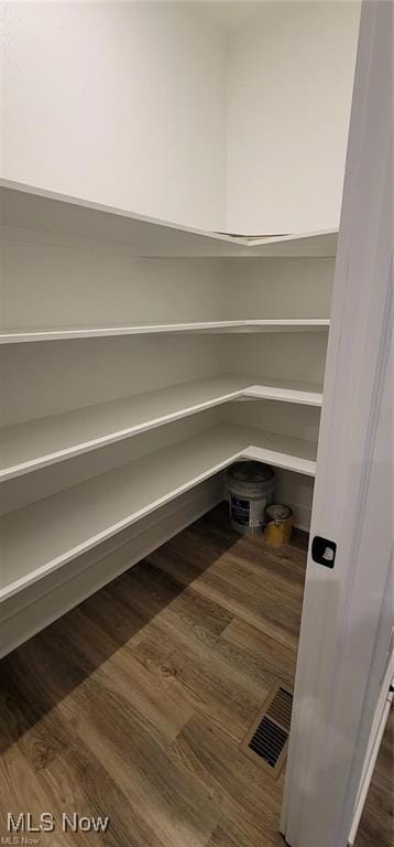 9145 Ledge View Ter, Broadview Heights, OH 44147 - view of pantry