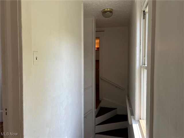 519 E 103rd St, Cleveland, OH 44108 - photo 29