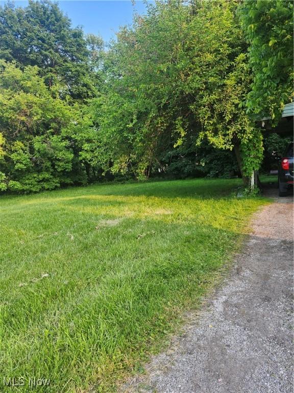 153 W Warren Ave, Youngstown, OH 44507 - photo 12