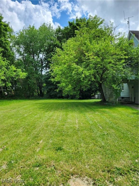 153 W Warren Ave, Youngstown, OH 44507 - photo 13