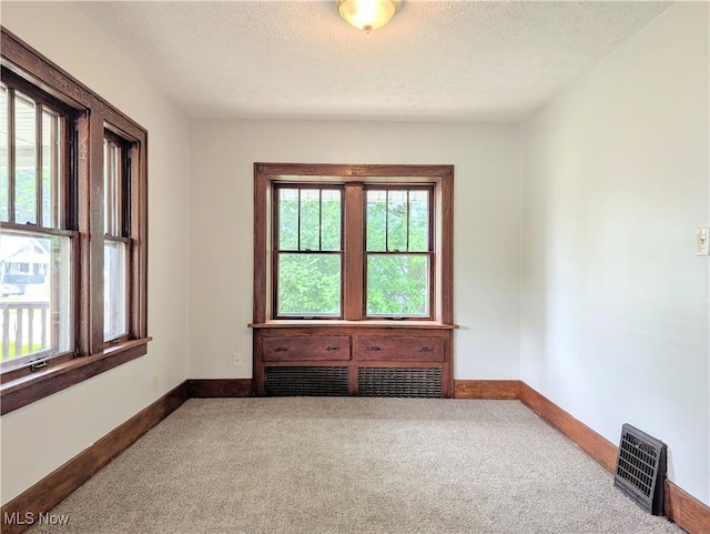 623 Cole Ave, Akron, OH 44301 - spare room with carpet, baseboards, and a textured ceiling