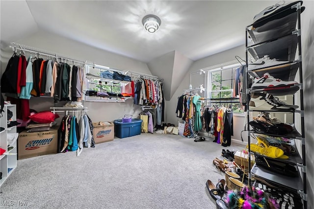 17314 Lomond Blvd, Shaker Heights, OH 44120 - walk in closet with lofted ceiling and carpet flooring