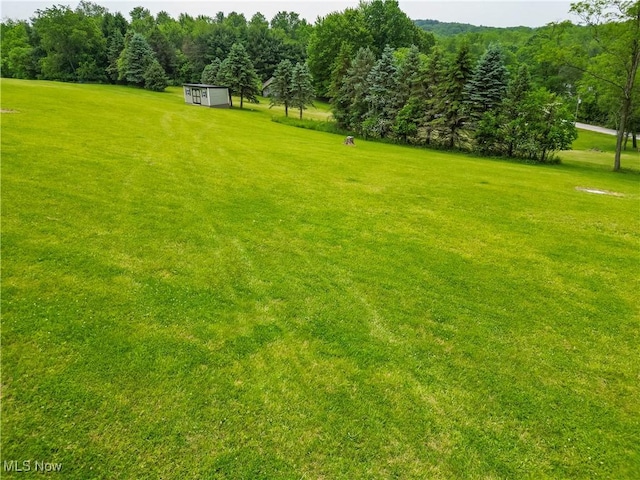 3270 County Road 54, Richmond, OH 43944 - photo 4