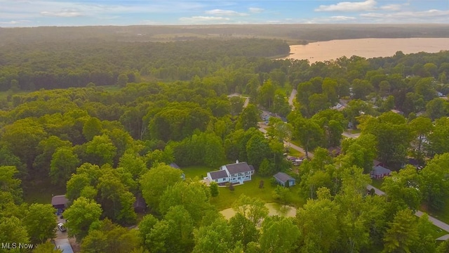 8000 Lake Rd, Seville, OH 44273 - bird's eye view of a forest